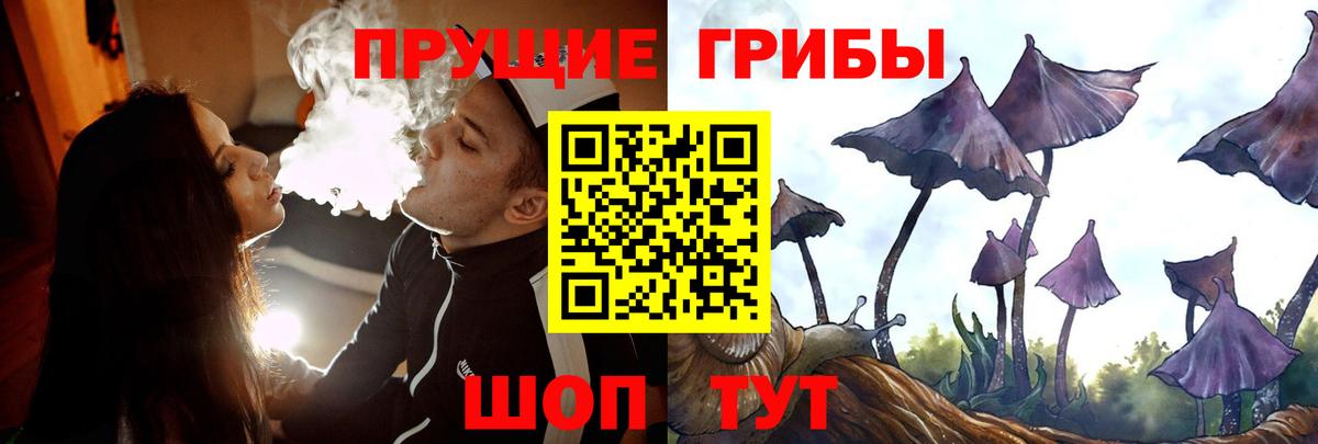 Галлюциногенные грибы мухоморы Изобильный